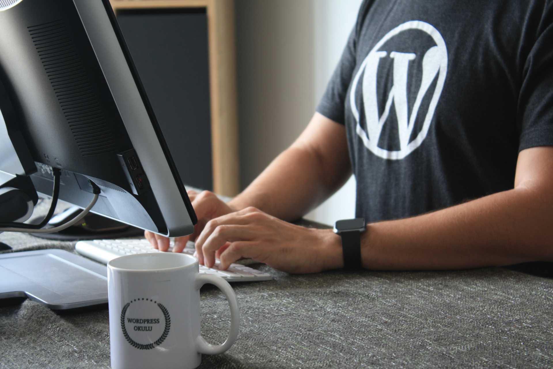 WordPress Logo - T-Shirt